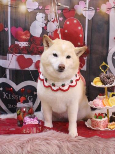 20250216メイちゃん